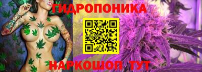 СК Волжск