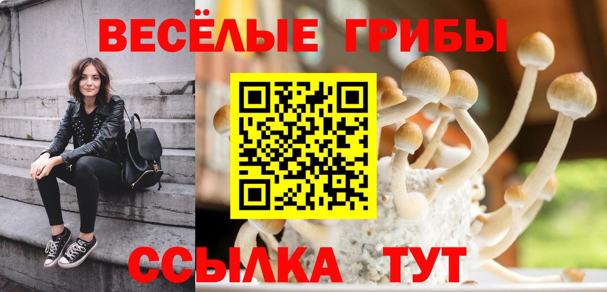 Галлюциногенные грибы мицелий Ростов Великий